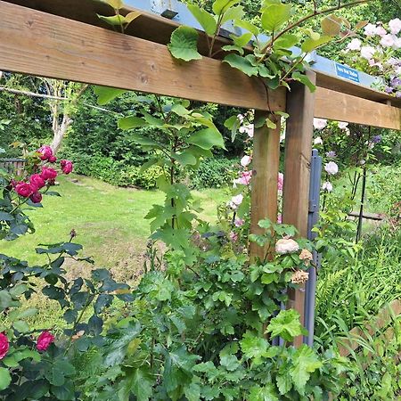 Klein Heemshof - Noord Holland Aan Uw Voeten Warmenhuizen Esterno foto