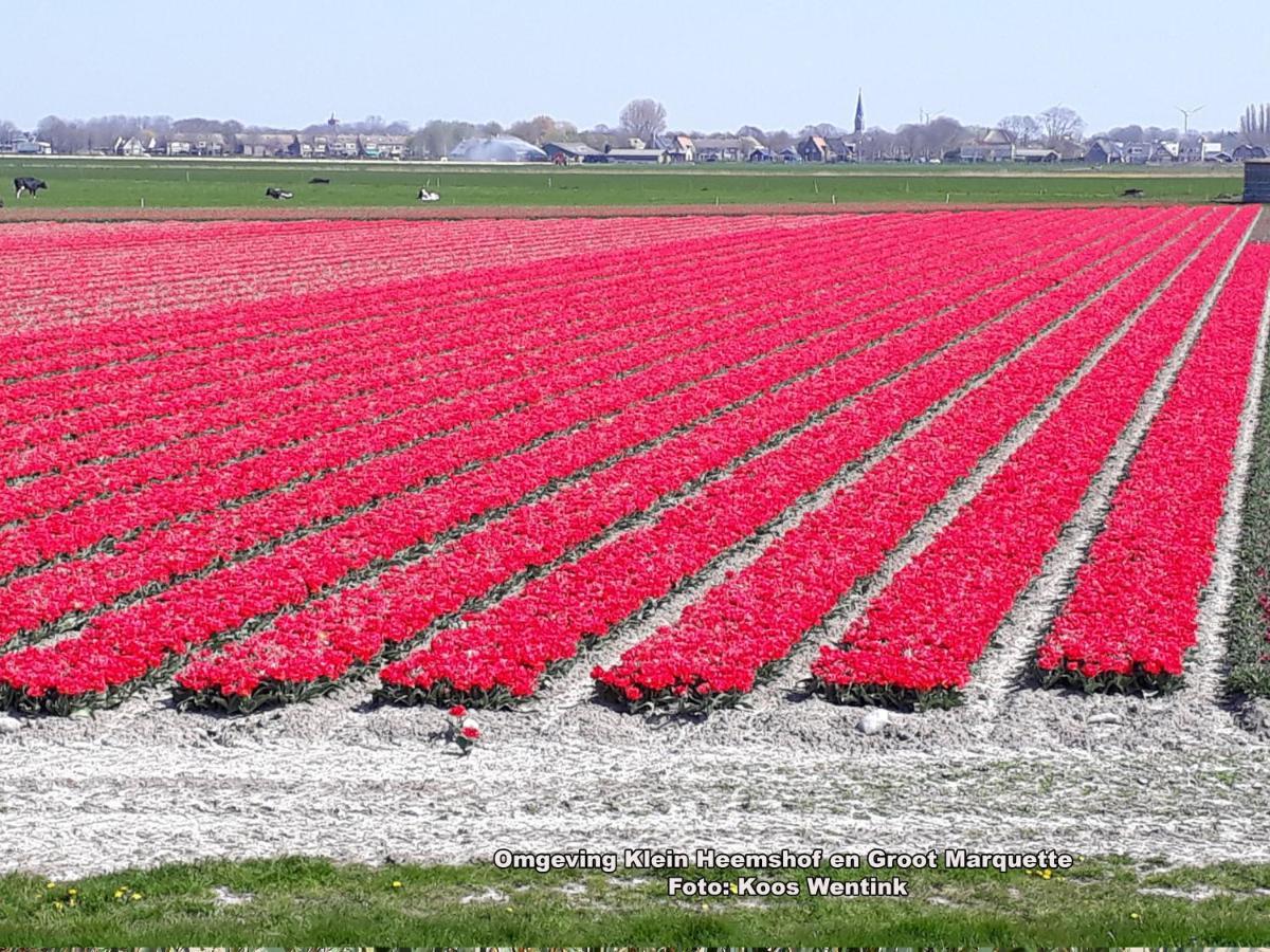 Klein Heemshof - Noord Holland Aan Uw Voeten Warmenhuizen Esterno foto