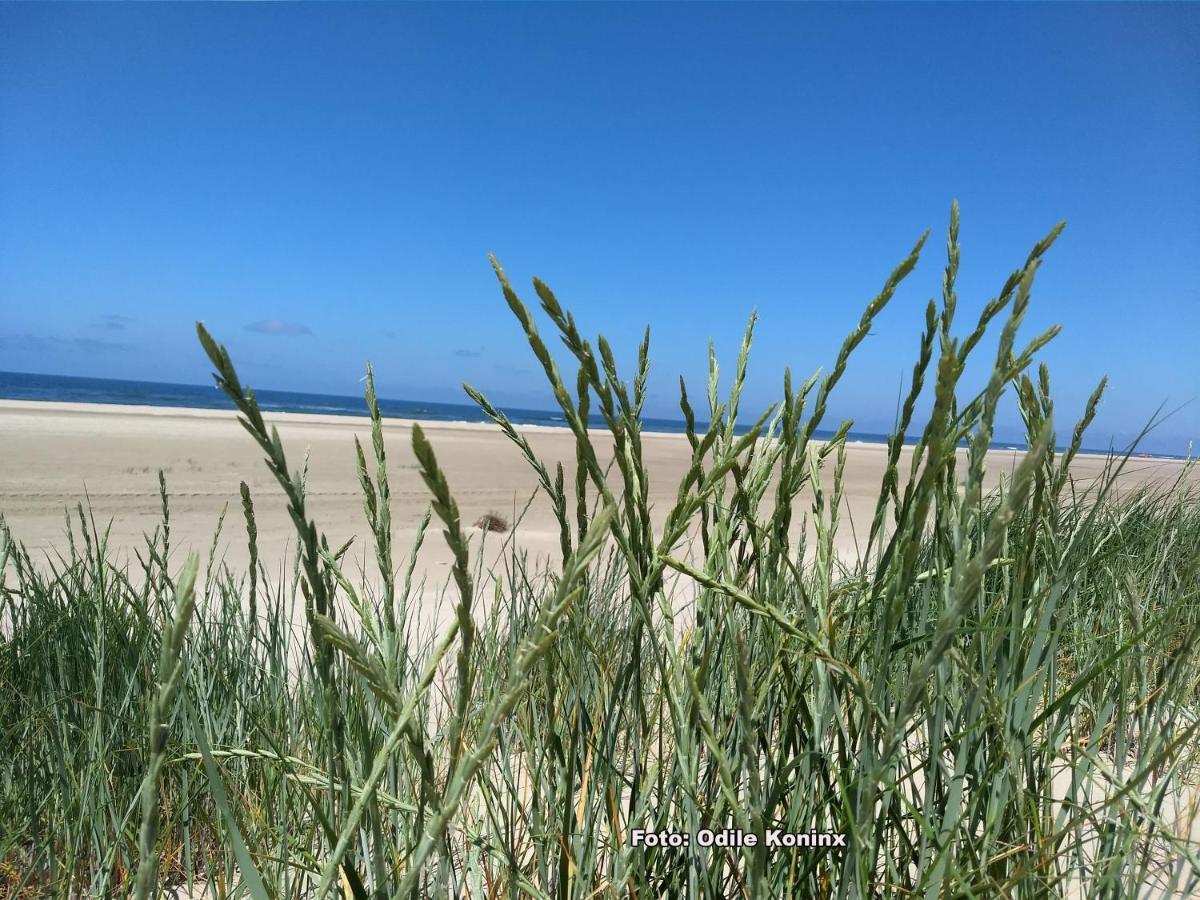Klein Heemshof - Noord Holland Aan Uw Voeten Warmenhuizen Esterno foto